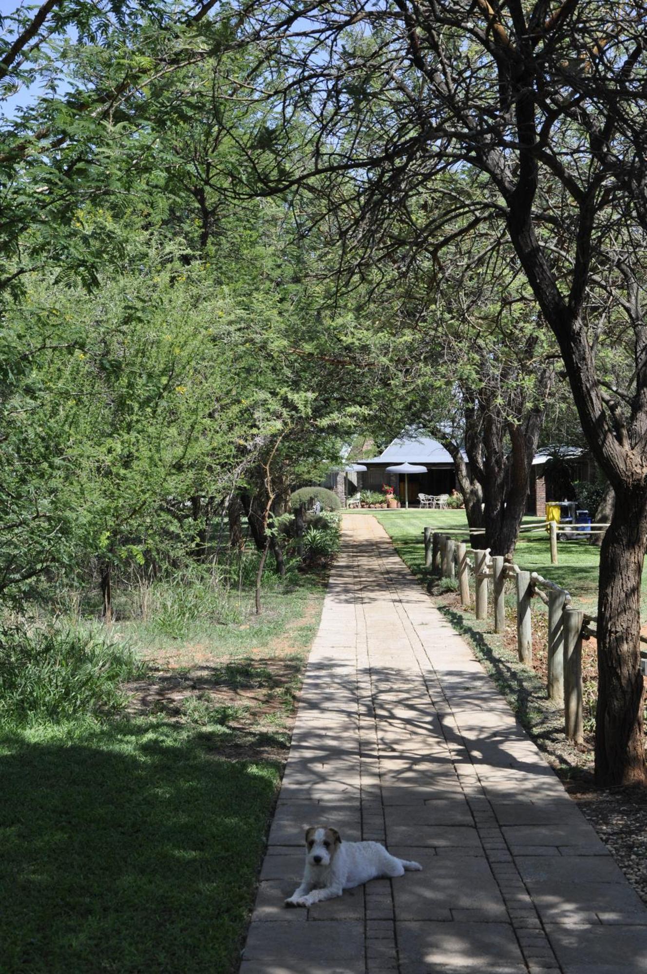 Grincourt B&B- With No Load Shedding Polokwane Exteriör bild