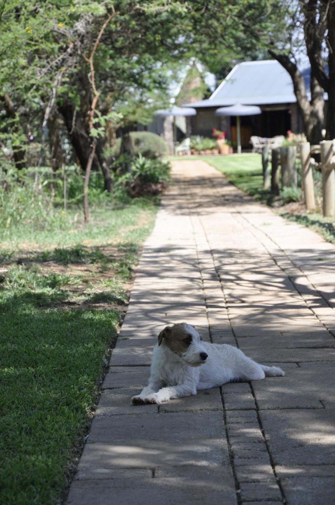 Grincourt B&B- With No Load Shedding Polokwane Exteriör bild